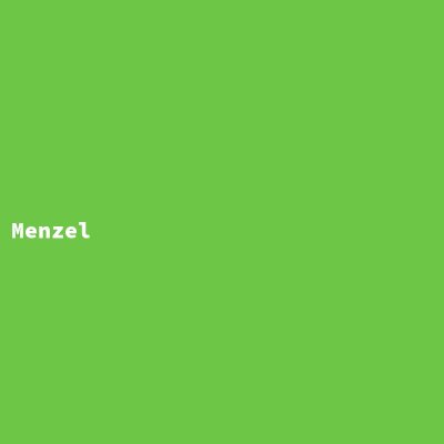 Manufacturer: Menzel